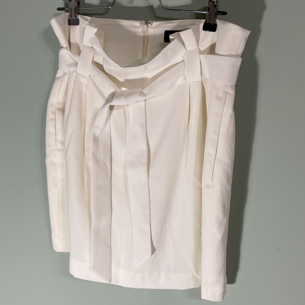 Express Skirt